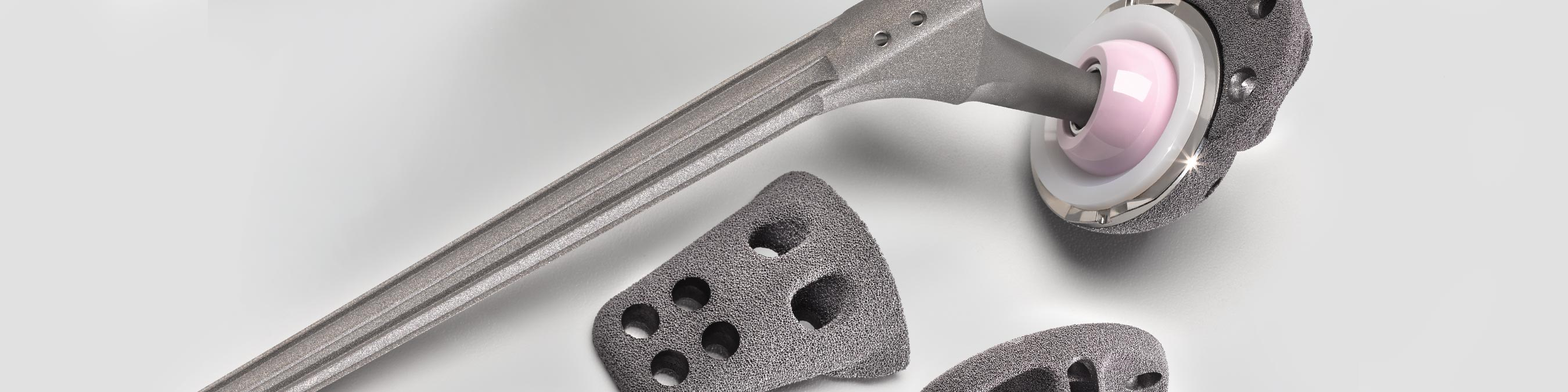 Revision Hip Arthroplasty Wagner SL Revision® Hip Zimmer Biomet