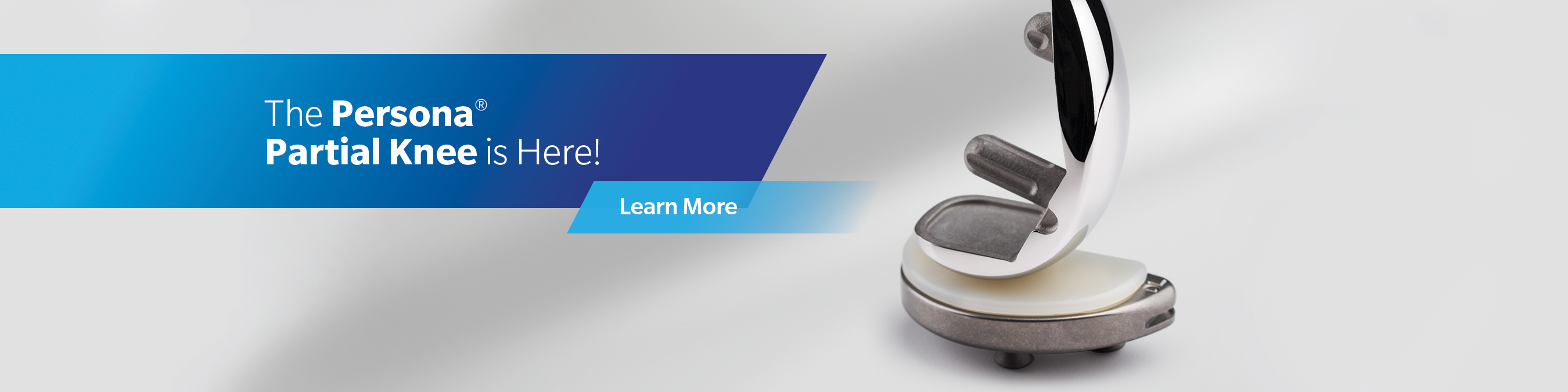 Knee Replacement Total Knee Arthroplasty Partial Knee Products