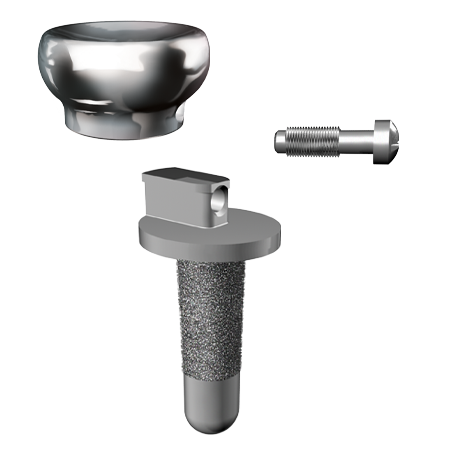 Zimmer Biomet ExploR Modular Radial Stems