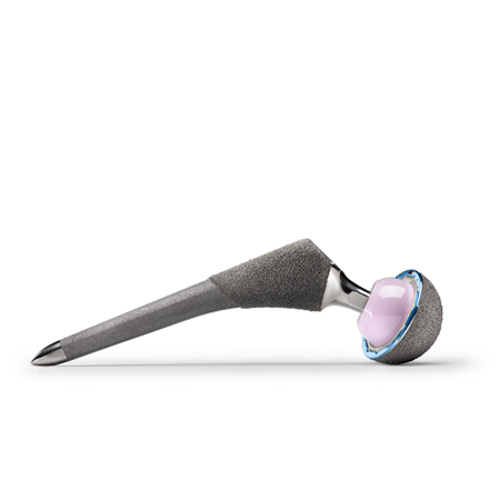 Zimmer Biomet Echo® Hip System