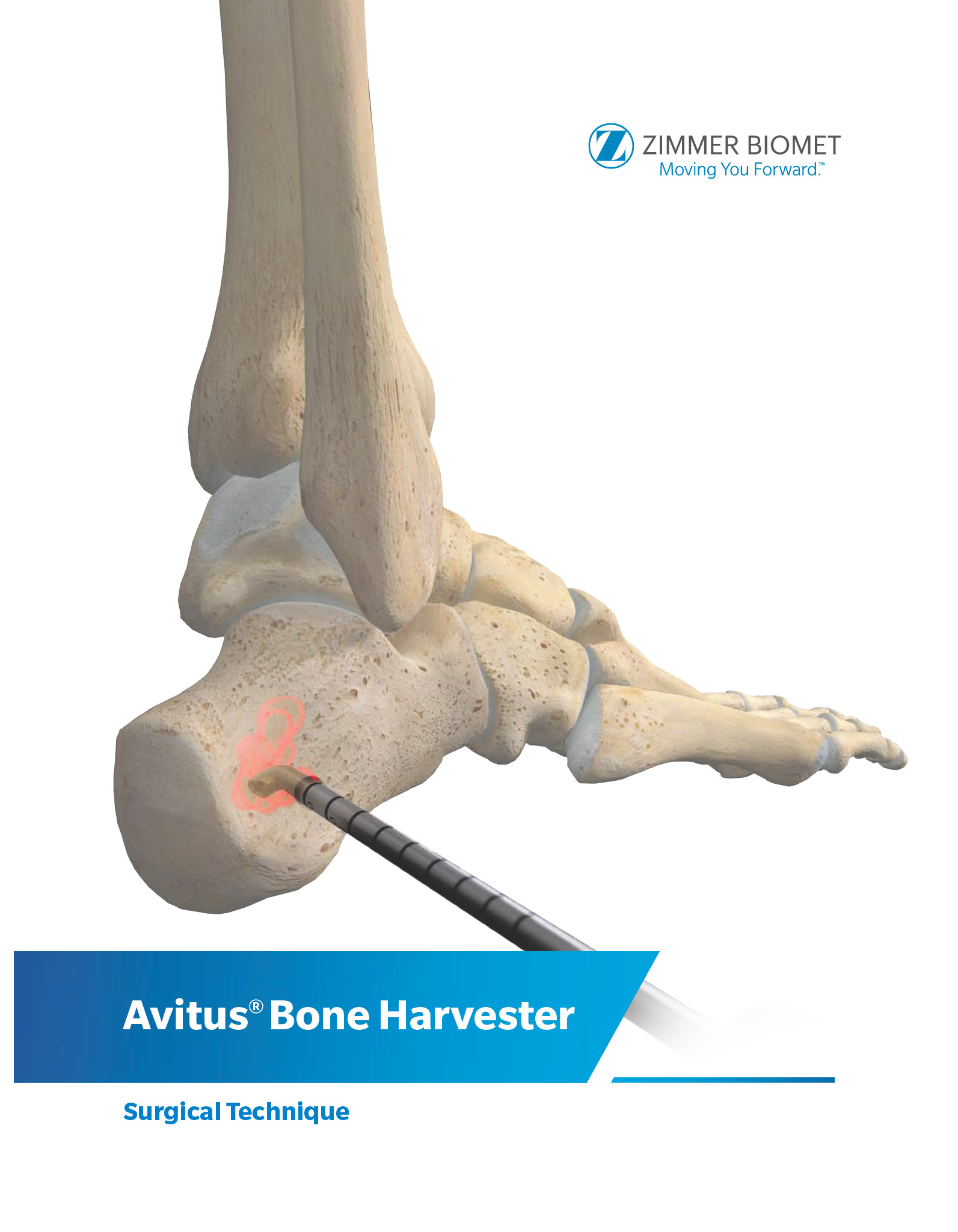 pdf preview thumbnail