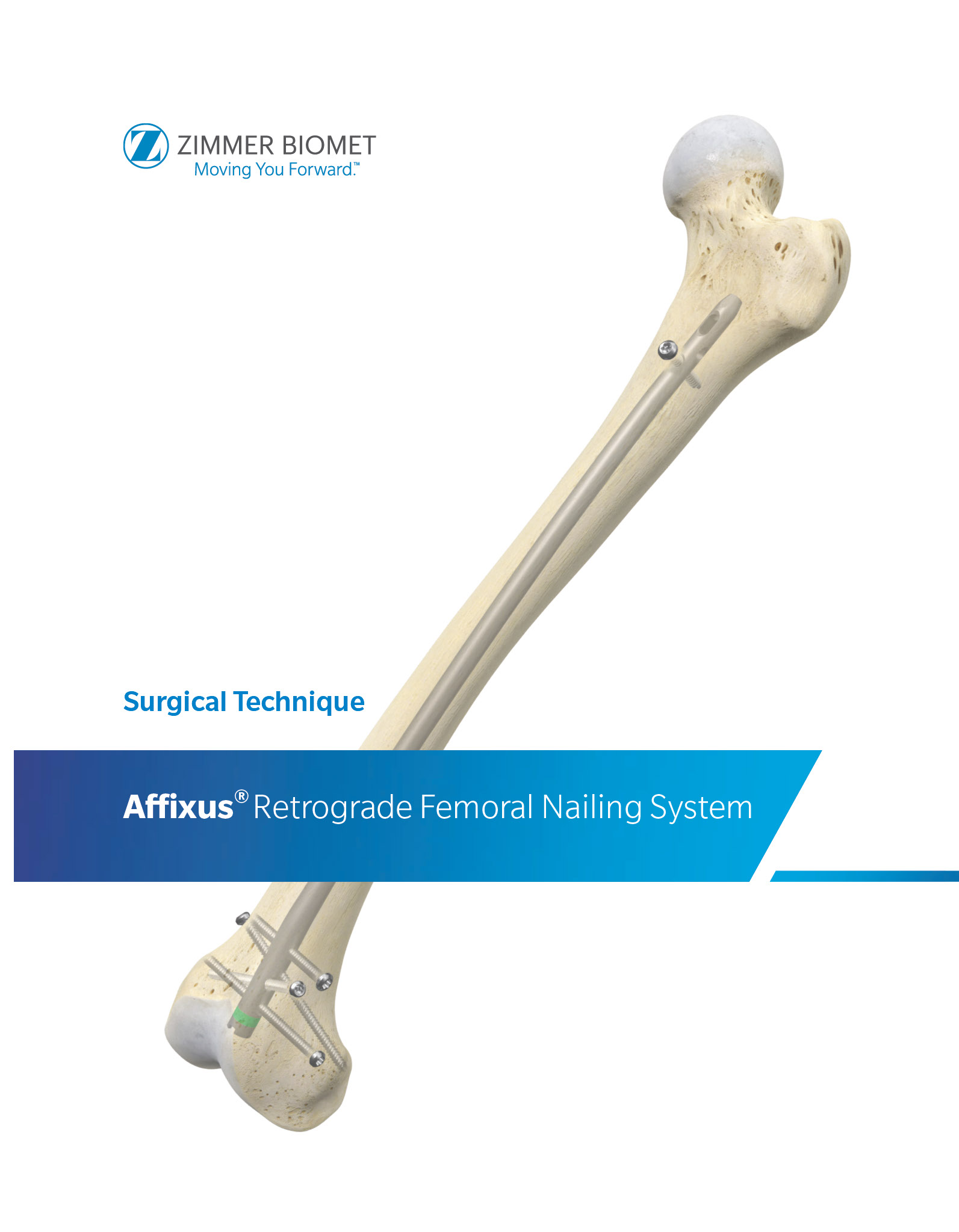 pdf preview thumbnail