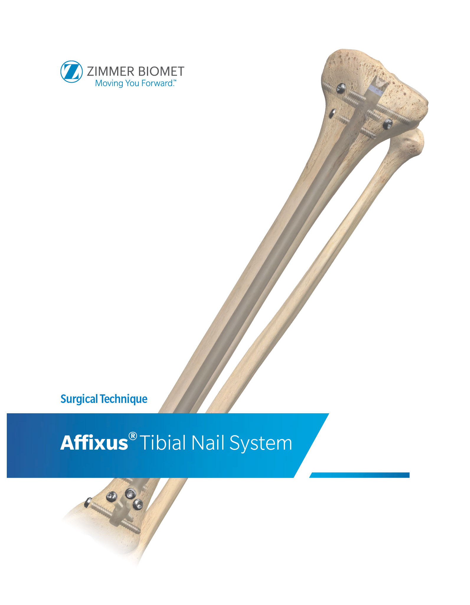 pdf preview thumbnail