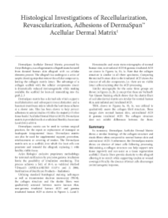pdf preview thumbnail