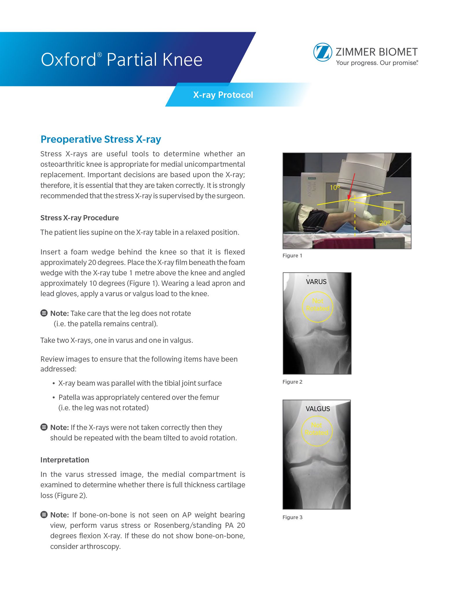 pdf preview thumbnail