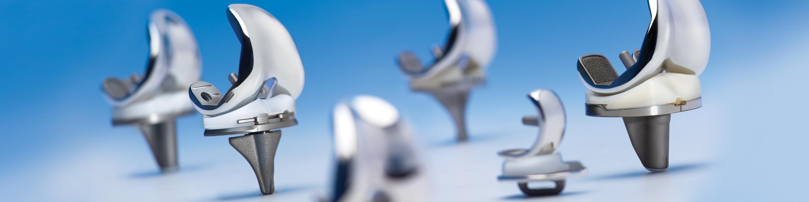 BIOMET MAXIM KNEE PDF