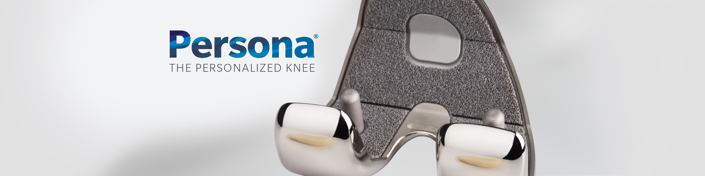 Persona The Personalised Knee Total Knee Systems Zimmer Biomet