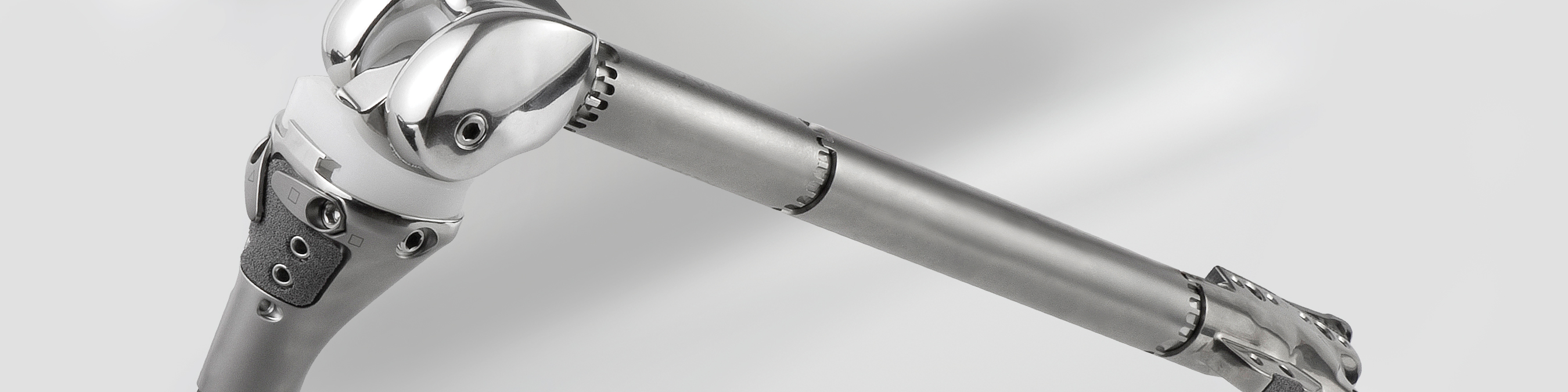 NexGen® Rotating Hinge Knee Revision Knee Systems Zimmer Biomet