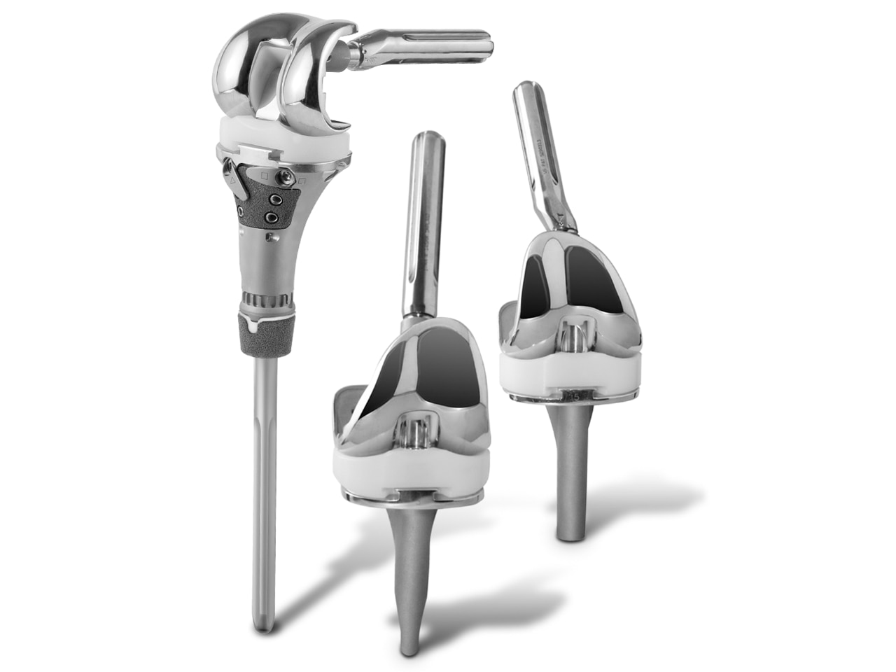 Zimmer Biomet's  Vanguard® 360 Revision Knee