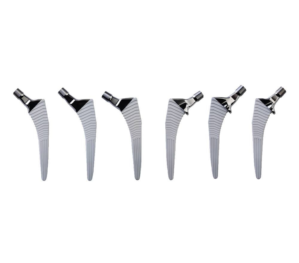 Zimmer Biomet Avenir Complete® Hip System Zimmer Biomet Avenir Complete® Hip System