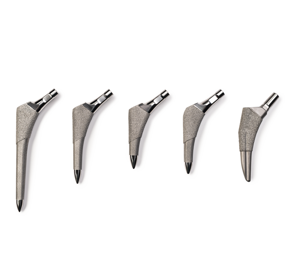 Echo Hip System Zimmer Biomet