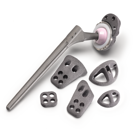 Zimmer Biomet Wagner SL Revision® Hip System
