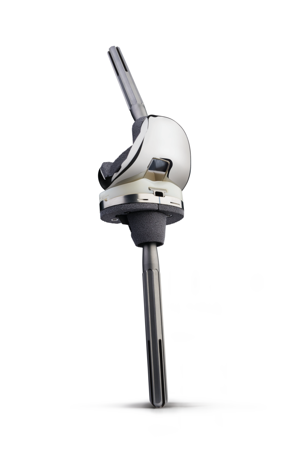 Persona® Revision SoluTion™ Femur