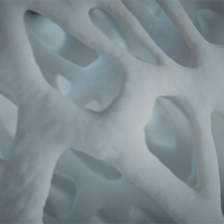 Tapestry® Biointegrative Implant from Zimmer Biomet